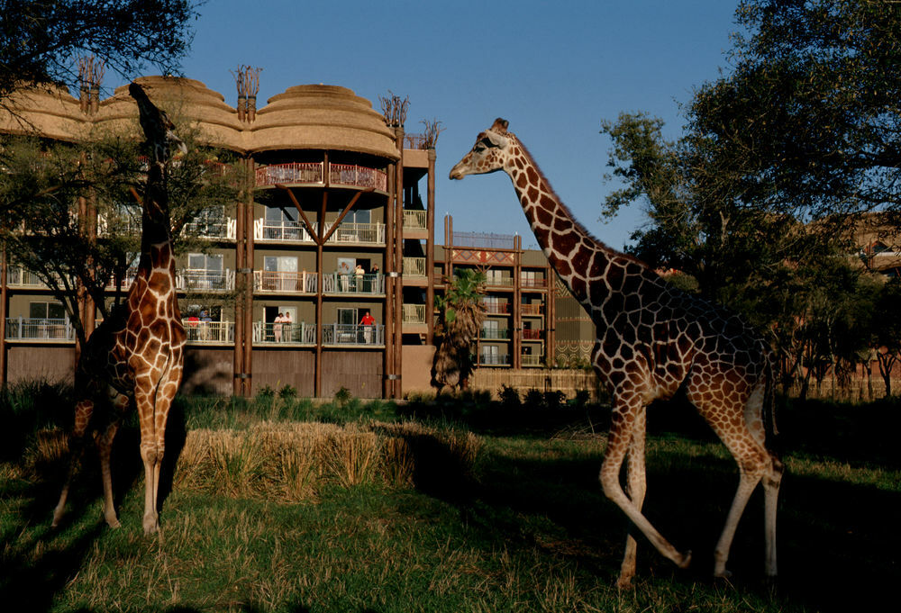 Disney'S Animal Kingdom Lodge Four Corners Extérieur photo